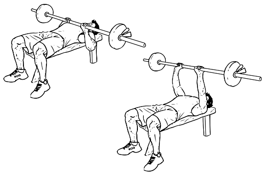Close Grip Bench Press Close Grip Bench Press